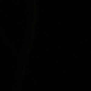 Meet your Posher, Raven